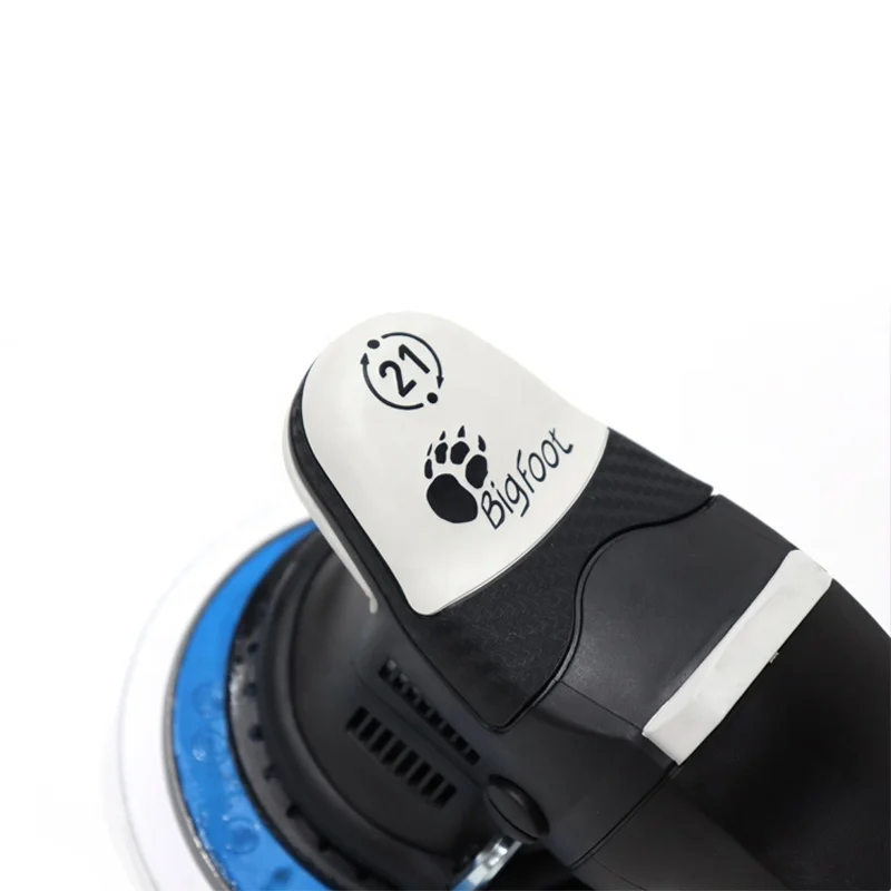 RUPES LHR21III Big Foot Random - Orbital Polisher Da 리뷰 및 가격